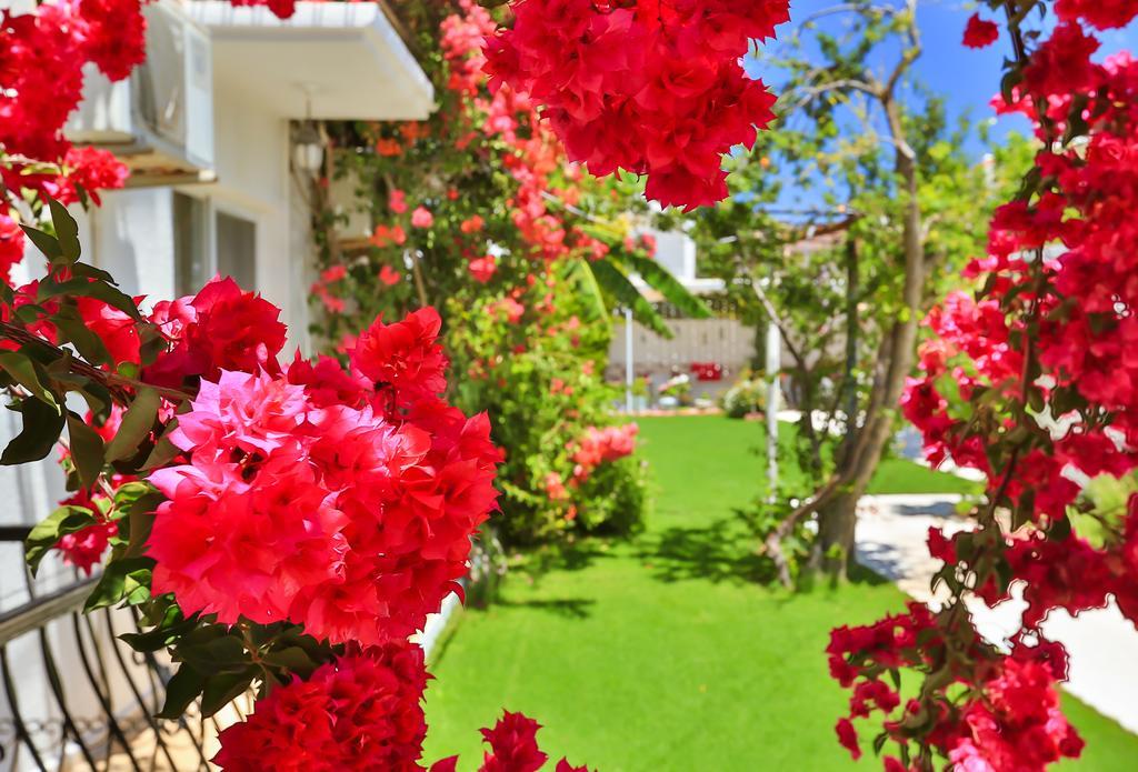 Kiraz Butik Hotel Alaçatı Eksteriør bilde